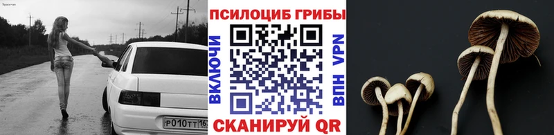 Псилоцибиновые грибы прущие грибы  Иннополис 